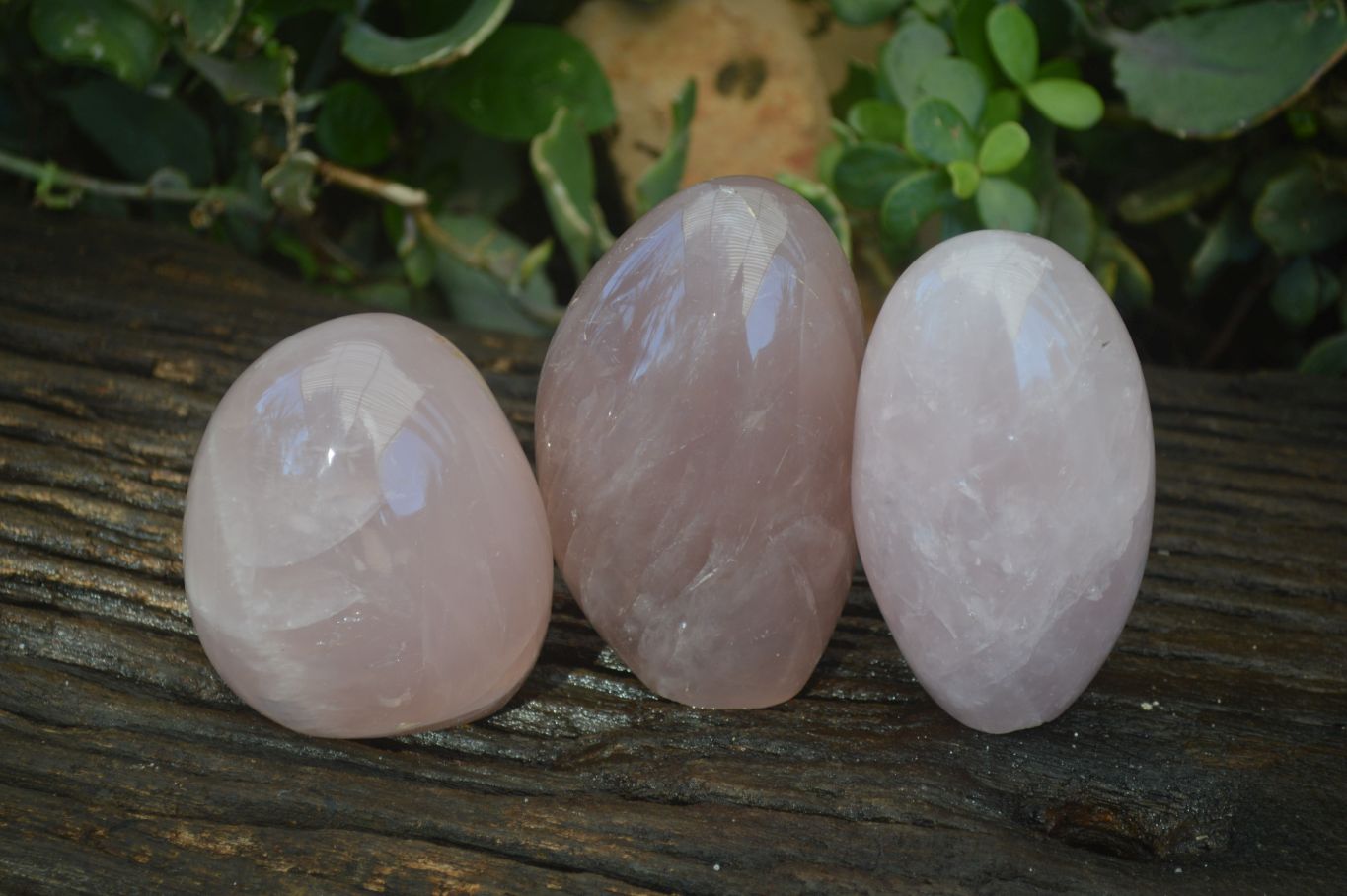 Polished Gemmy Pink Rose Quartz Standing Free Forms x 3 From Antsirabe, Madagascar - Toprock Gemstones and Minerals 
