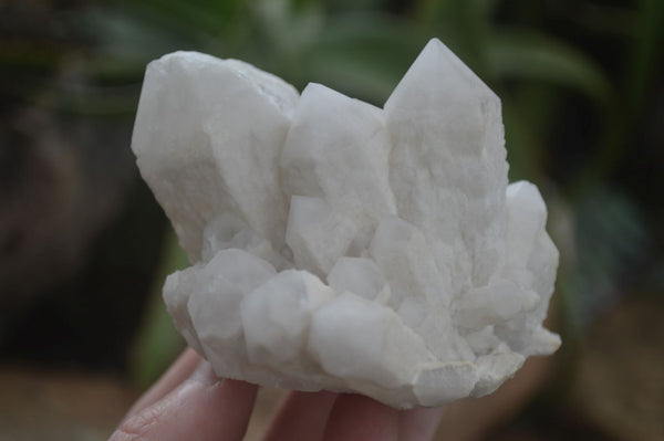 Natural Pineapple Candle Quartz Crystals  x 6 From Madagascar