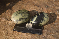 Polished Leopard Stone Palm Stones  x 12 From Zimbabwe - Toprock Gemstones and Minerals 