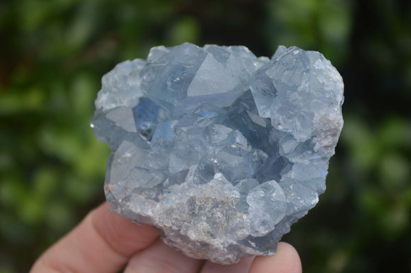Natural Blue Celestite Crystal Specimens  x 6 From Sakoany, Madagascar - Toprock Gemstones and Minerals 