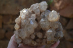 Natural Cascading Smokey Phantom Quartz Clusters x 2 From Luena, Congo - Toprock Gemstones and Minerals 