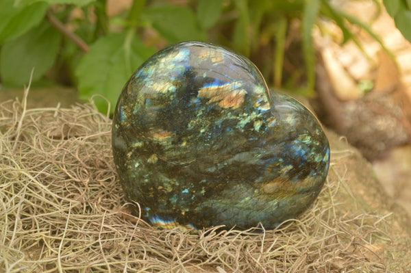 Polished Large Labradorite Hearts x 2 From Tulear, Madagascar - TopRock