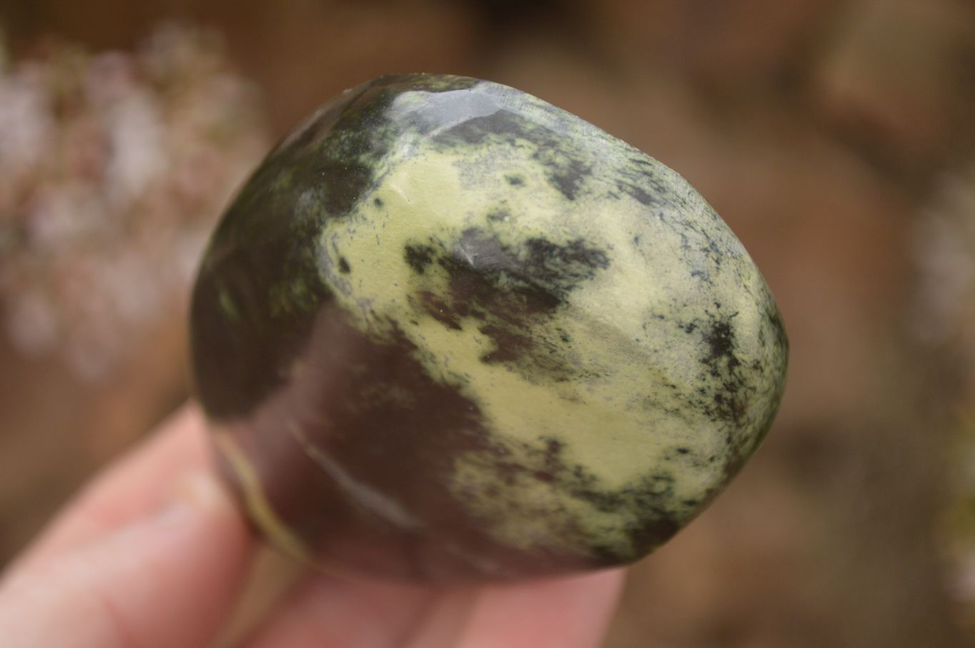 Polished Leopard Stone Free Forms  x 6 From Zimbabwe - Toprock Gemstones and Minerals 