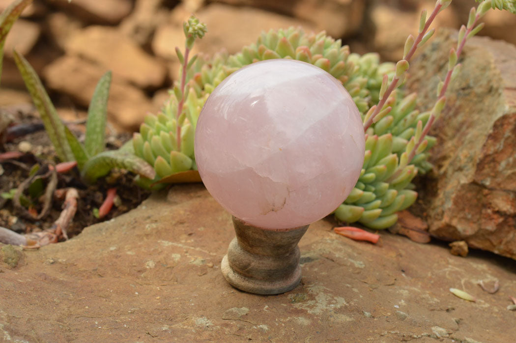 Polished Pink Rose Quartz Spheres  x 3 From Madagascar - TopRock