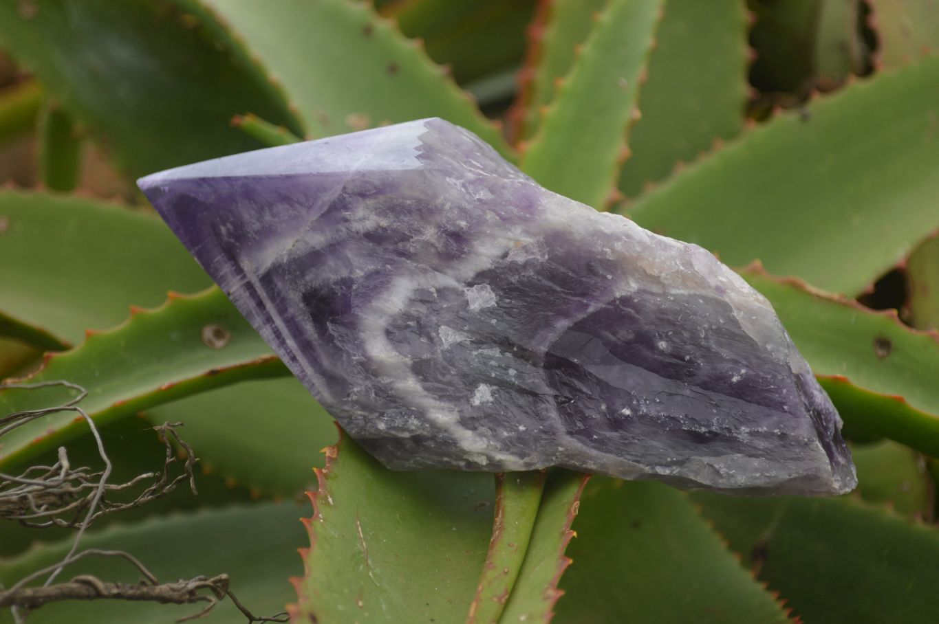 Polished "Witches Hat" Amethyst Crystals  x 4 From Zambia - TopRock