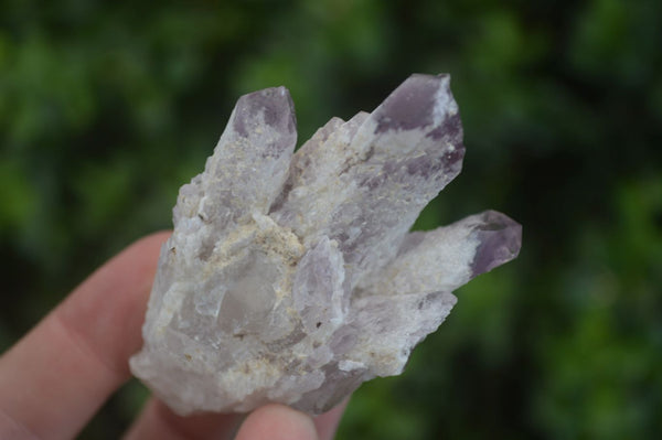 Natural Sugar Amethyst Crystal Clusters  x 24 From Zambia
