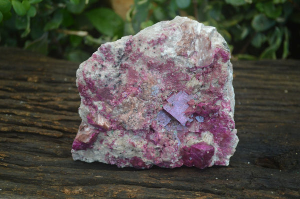 Natural Extra Large Bright Pink Salrose Dolomite Specimen x 1 From Kakanda, Congo - Toprock Gemstones and Minerals 
