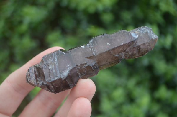 Natural Large Skeletal Smokey Amethyst Crystals  x 6 From Chiredzi, Zimbabwe - Toprock Gemstones and Minerals 