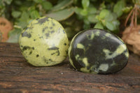 Polished Leopard Stone Free Forms  x 6 From Zimbabwe - Toprock Gemstones and Minerals 