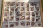 Natural Mini Smokey Amethyst Crystals  x 35 From Chiredzi, Zimbabwe - Toprock Gemstones and Minerals 