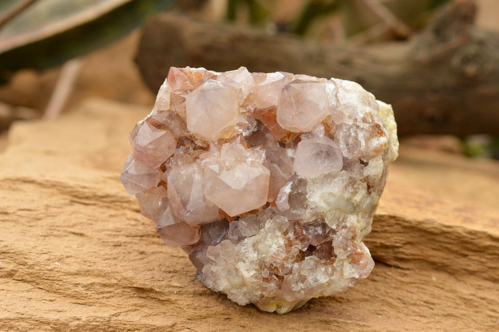 Natural Drusi Coated Spirit Cactus Quartz Clusters  x 4 From Boekenhouthoek, South Africa - TopRock