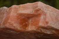 Natural Extra Large Sunset Orange Calcite Specimen x 1 From Spitzkop, Namibia - Toprock Gemstones and Minerals 