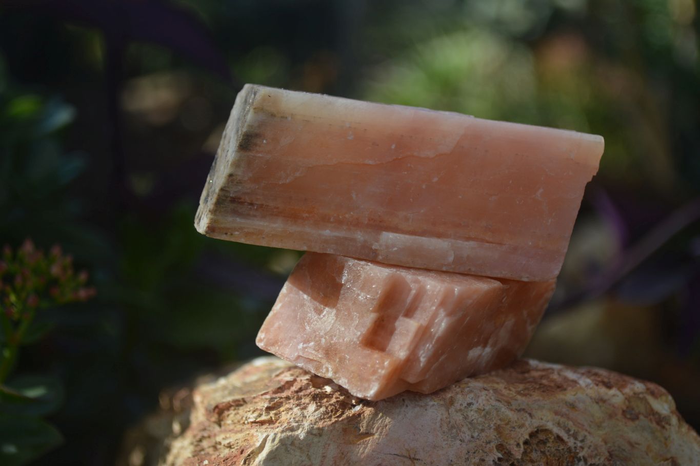 Natural New Sunset Orange Calcite Specimens  x 24 From Namibia - Toprock Gemstones and Minerals 