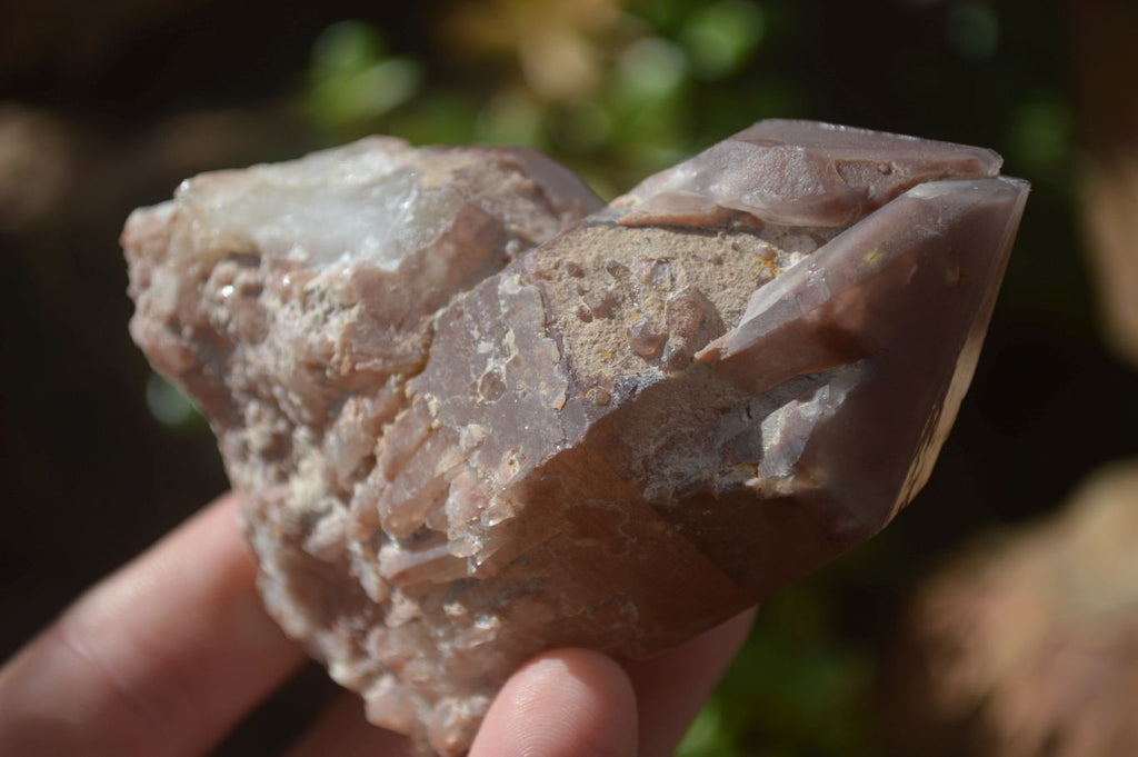 Natural Red Hematoid Quartz Specimens x 6 From Karoi, Zimbabwe - Toprock Gemstones and Minerals 