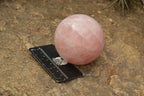 Polished Pink Rose Quartz Spheres  x 3 From Madagascar - TopRock