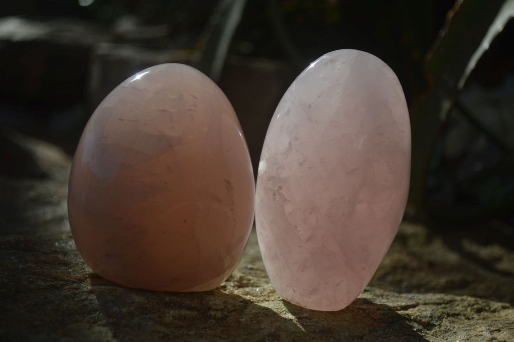 Polished Gemmy Pink Rose Quartz Standing Free Forms x 3 From Antsirabe, Madagascar - Toprock Gemstones and Minerals 