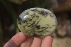 Polished Leopard Stone Palm Stones  x 12 From Zimbabwe - Toprock Gemstones and Minerals 
