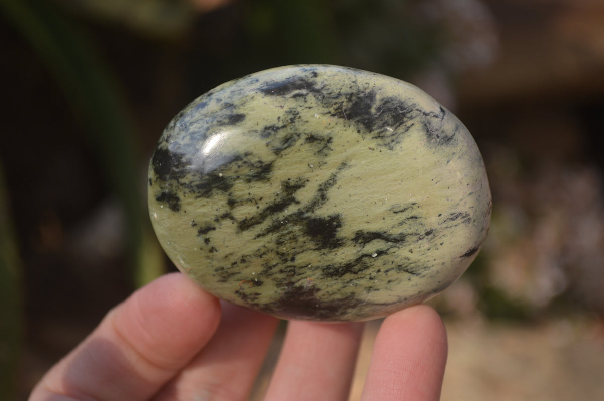 Polished Leopard Stone Palm Stones  x 12 From Zimbabwe - Toprock Gemstones and Minerals 