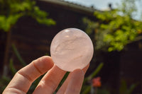 Polished Pink Rose Quartz Spheres  x 6 From Ambatondrazaka, Madagascar - TopRock