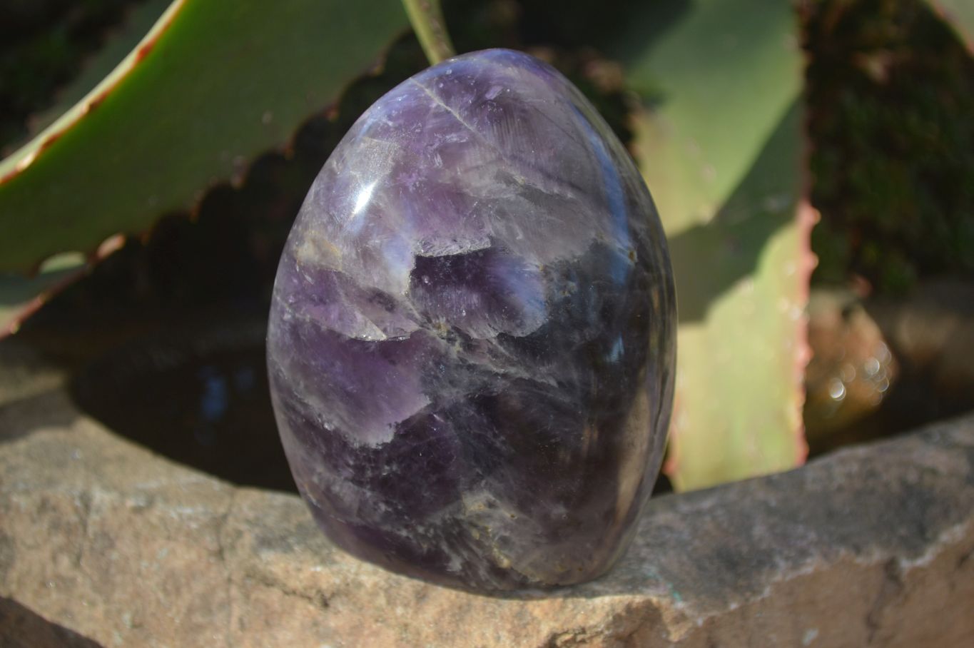 Polished Amethyst Standing Free Forms x 4 From Madagascar - Toprock Gemstones and Minerals 