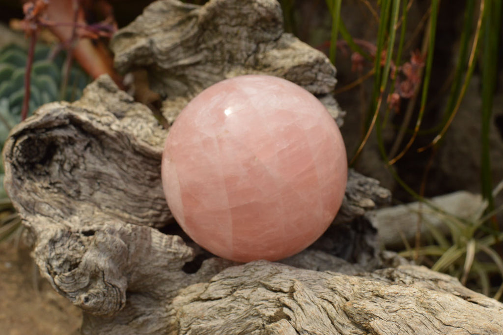 Polished Pink Rose Quartz Spheres  x 3 From Madagascar - TopRock