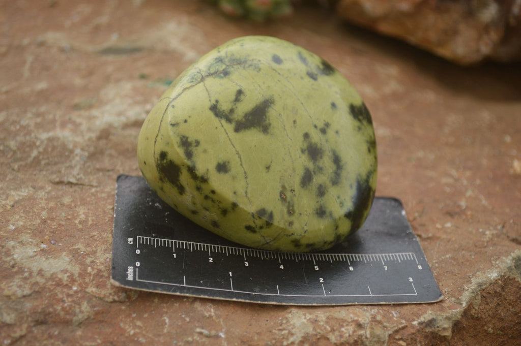Polished Leopard Stone Free Forms  x 6 From Zimbabwe - Toprock Gemstones and Minerals 