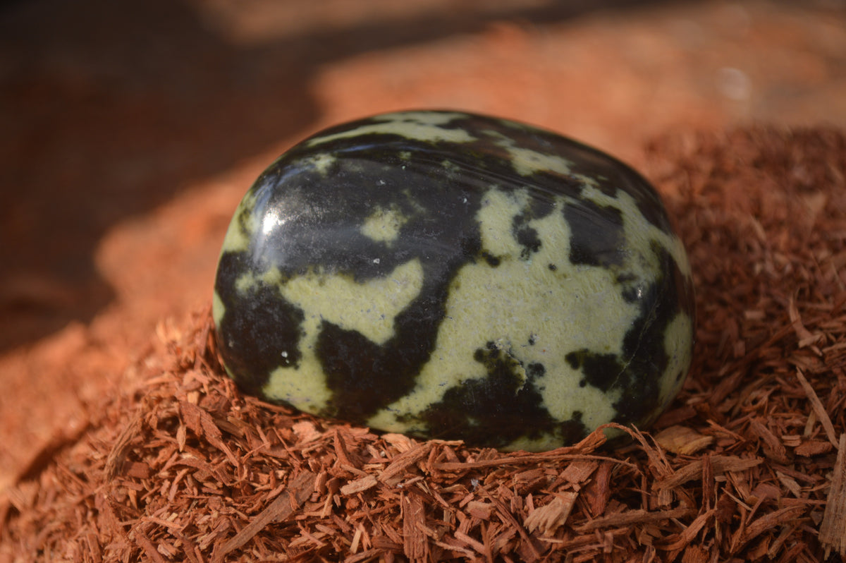 Polished Leopard Stone Palm Stones  x 12 From Zimbabwe - Toprock Gemstones and Minerals 