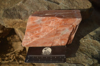Natural Sunset Orange Calcite Specimen x 1 From Spitzkop, Namibia - Toprock Gemstones and Minerals 
