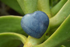 Polished Mini Highly Selected Blue Lazulite Hearts x 35 From Madagascar - TopRock
