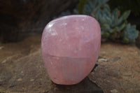 Polished Pink Rose Quartz Standing Free Forms x 2 From Ambatondrazaka, Madagascar - TopRock