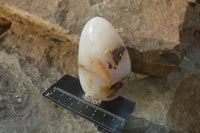 Polished Mixed Agate Standing Free Forms  x 4 From West Coast, Madagascar
