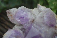 Natural Jacaranda Amethyst Cluster x 1 From Mumbwa, Zambia - TopRock