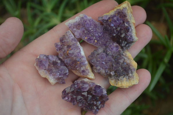 Natural Small Dark Amethyst Crystal Plates  x 70 From Mapatizya, Zambia - Toprock Gemstones and Minerals 