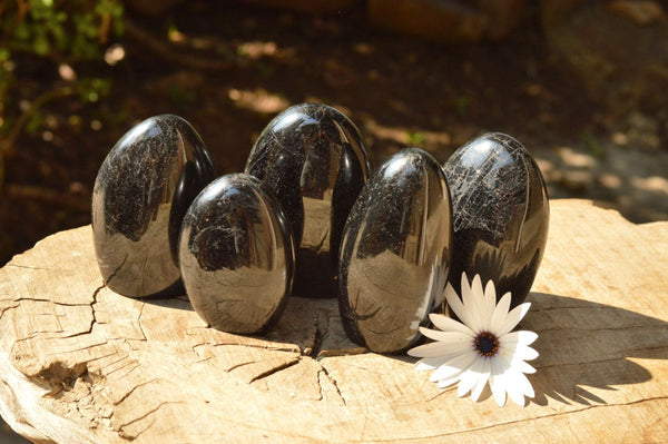 Polished Black Tourmaline / Schorl Standing Free Forms  x 5 From Madagascar - TopRock