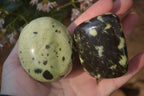 Polished Leopard Stone Palm Stones  x 12 From Zimbabwe - Toprock Gemstones and Minerals 