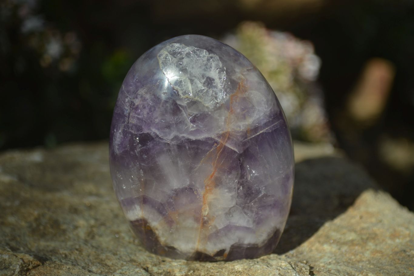 Polished Amethyst Standing Free Forms x 4 From Madagascar - Toprock Gemstones and Minerals 