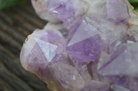 Natural Jacaranda Amethyst Cluster x 1 From Mumbwa, Zambia - TopRock