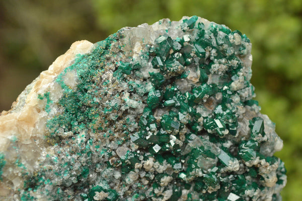 Natural Stunning Dioptase Crystals On Dolomite Specimen x 1 From Brazzaville, Congo - TopRock
