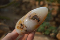 Polished Mixed Agate Standing Free Forms  x 4 From West Coast, Madagascar