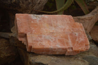 Natural Extra Large Sunset Orange Calcite Specimen x 1 From Spitzkop, Namibia - Toprock Gemstones and Minerals 
