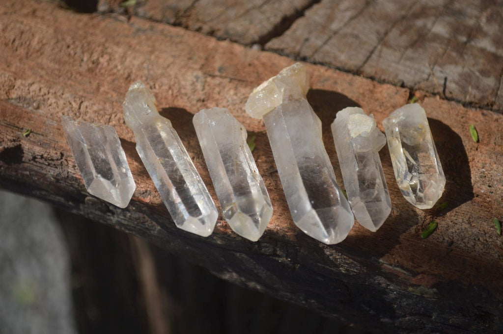Natural Single Clear Quartz Crystals  x 1.9 Kg Lot From Zimbabwe - Toprock Gemstones and Minerals 