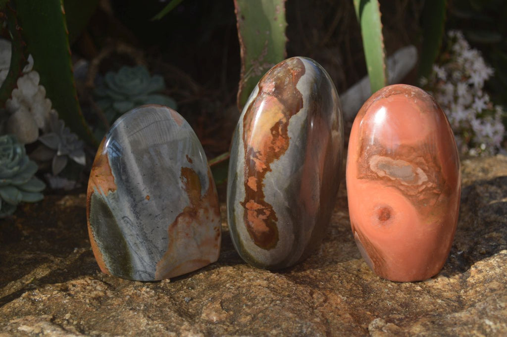 Polished Polychrome / Picasso Jasper Standing Free Forms  x 3 From Madagascar - Toprock Gemstones and Minerals 