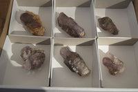 Natural Amethyst Crystals  x 6 From Chiredzi, Zimbabwe - Toprock Gemstones and Minerals 