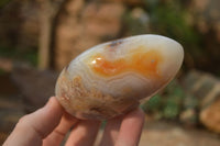 Polished Mixed Agate Standing Free Forms  x 4 From West Coast, Madagascar