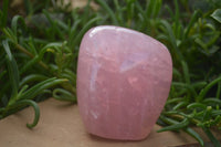 Polished Pink Rose Quartz Standing Free Forms x 2 From Ambatondrazaka, Madagascar - TopRock