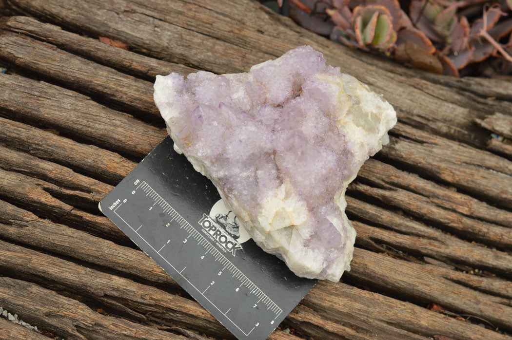 Natural Drusi Coated Spirit Cactus Quartz Clusters  x 4 From Boekenhouthoek, South Africa - TopRock