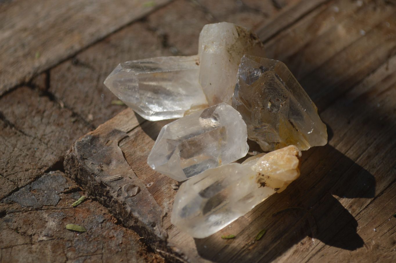 Natural Single Clear Quartz Crystals  x 1.9 Kg Lot From Zimbabwe - Toprock Gemstones and Minerals 