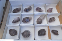 Natural Window Amethyst Quartz Crystals  x 12 From Chiredzi, Zimbabwe - Toprock Gemstones and Minerals 