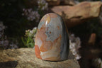 Polished Polychrome / Picasso Jasper Standing Free Forms  x 3 From Madagascar - Toprock Gemstones and Minerals 