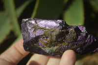 Natural Metallic Purpurite Cobbed Specimens x 12 From Erongo, Namibia - Toprock Gemstones and Minerals 